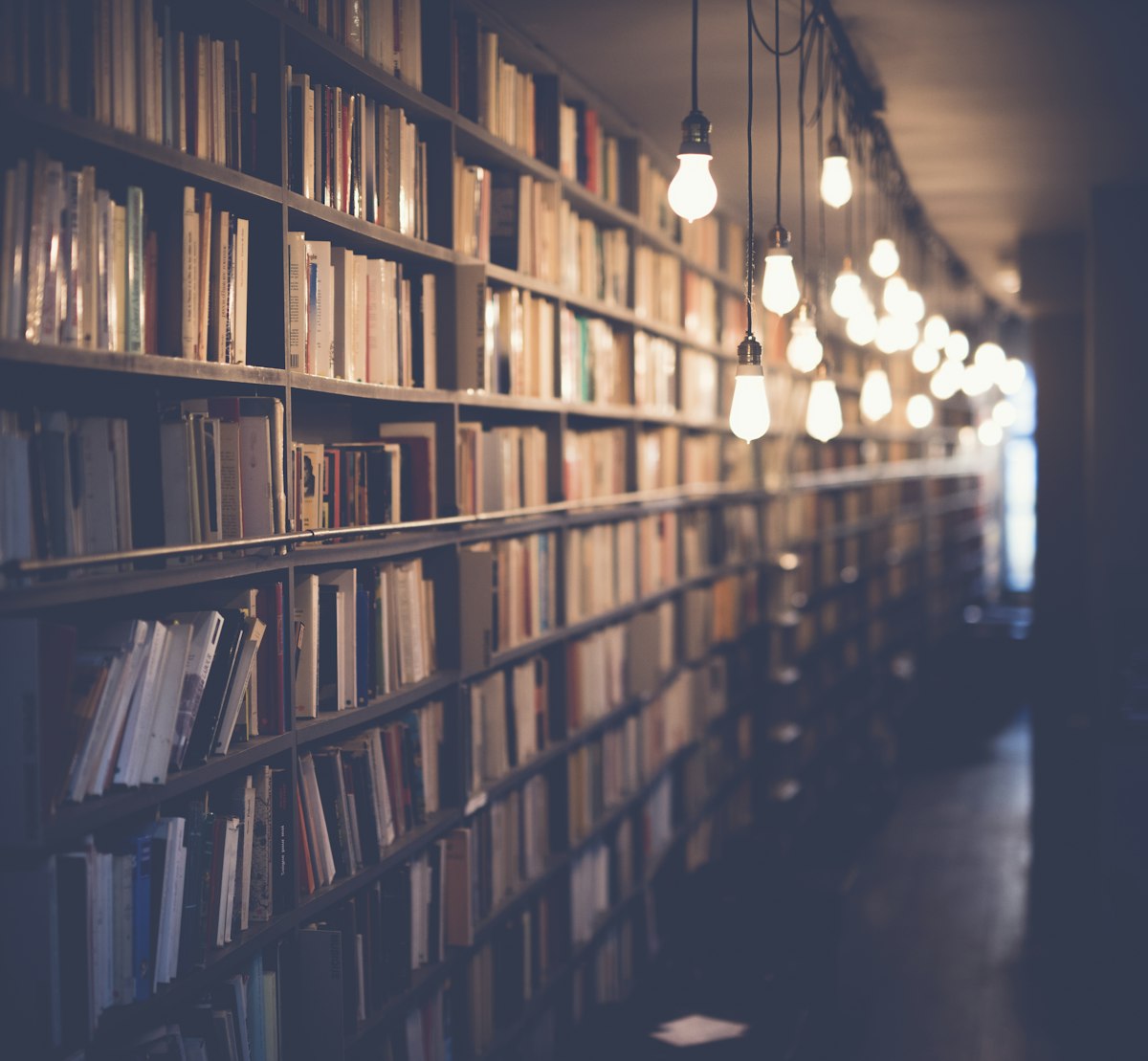The Practical Library — photo 2