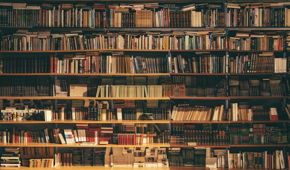 Shelves filled with books